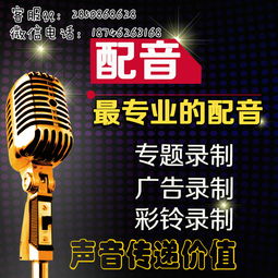 語音錄音盒報價 廠家